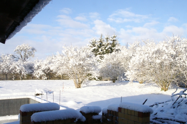 Gartenansicht ( Winter )